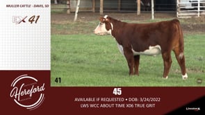Lot #41 - 45