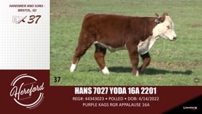 Lot #37 - HANS 7027 YODA 16A 2201