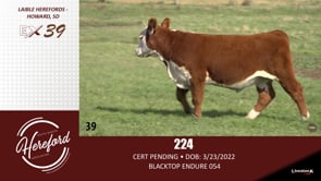Lot #39 - 224