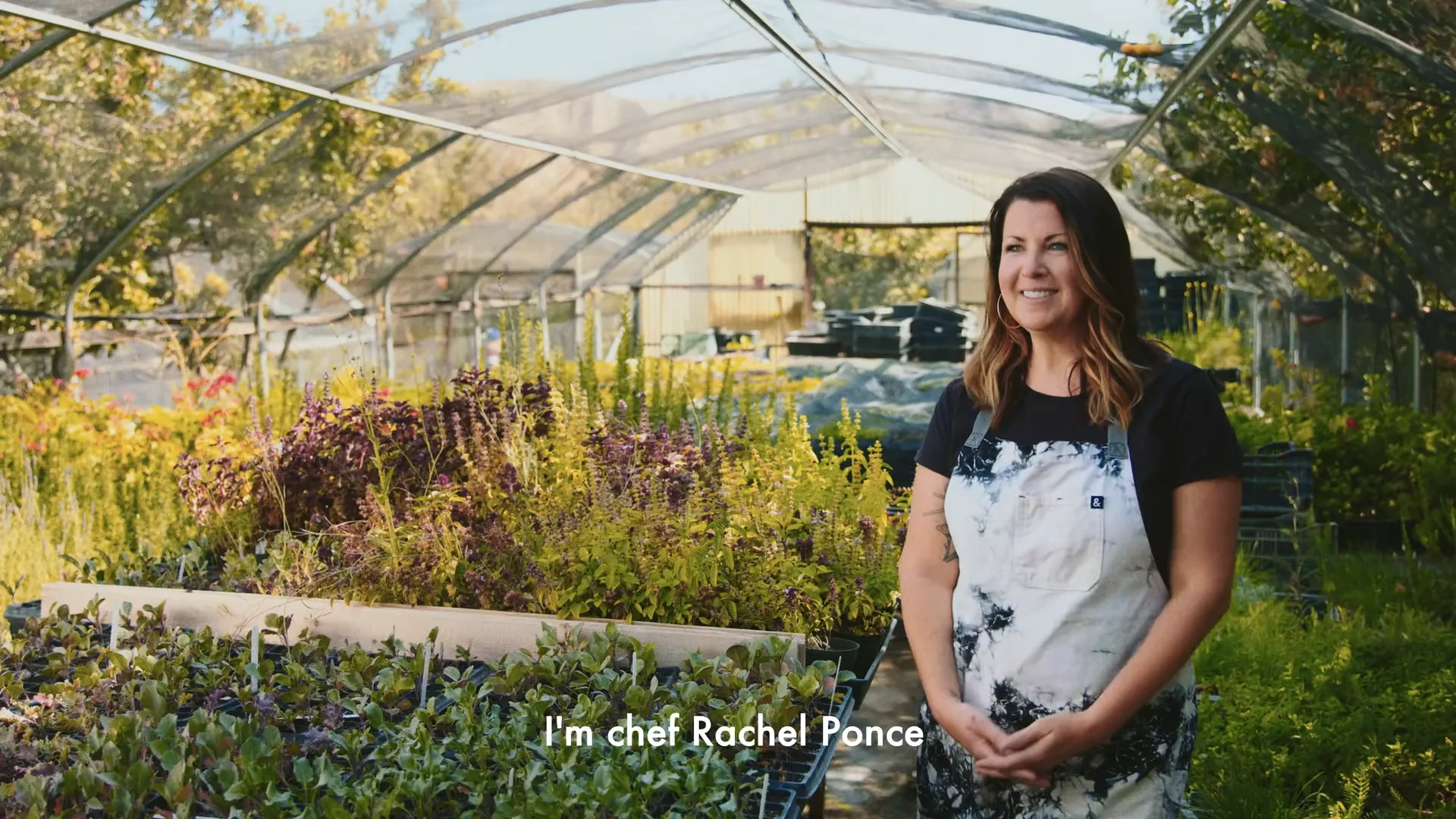 Edible + Chef Rachel - 2022 on Vimeo