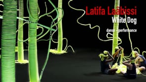 Vignette de la vidéo