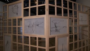 Vignette de la vidéo