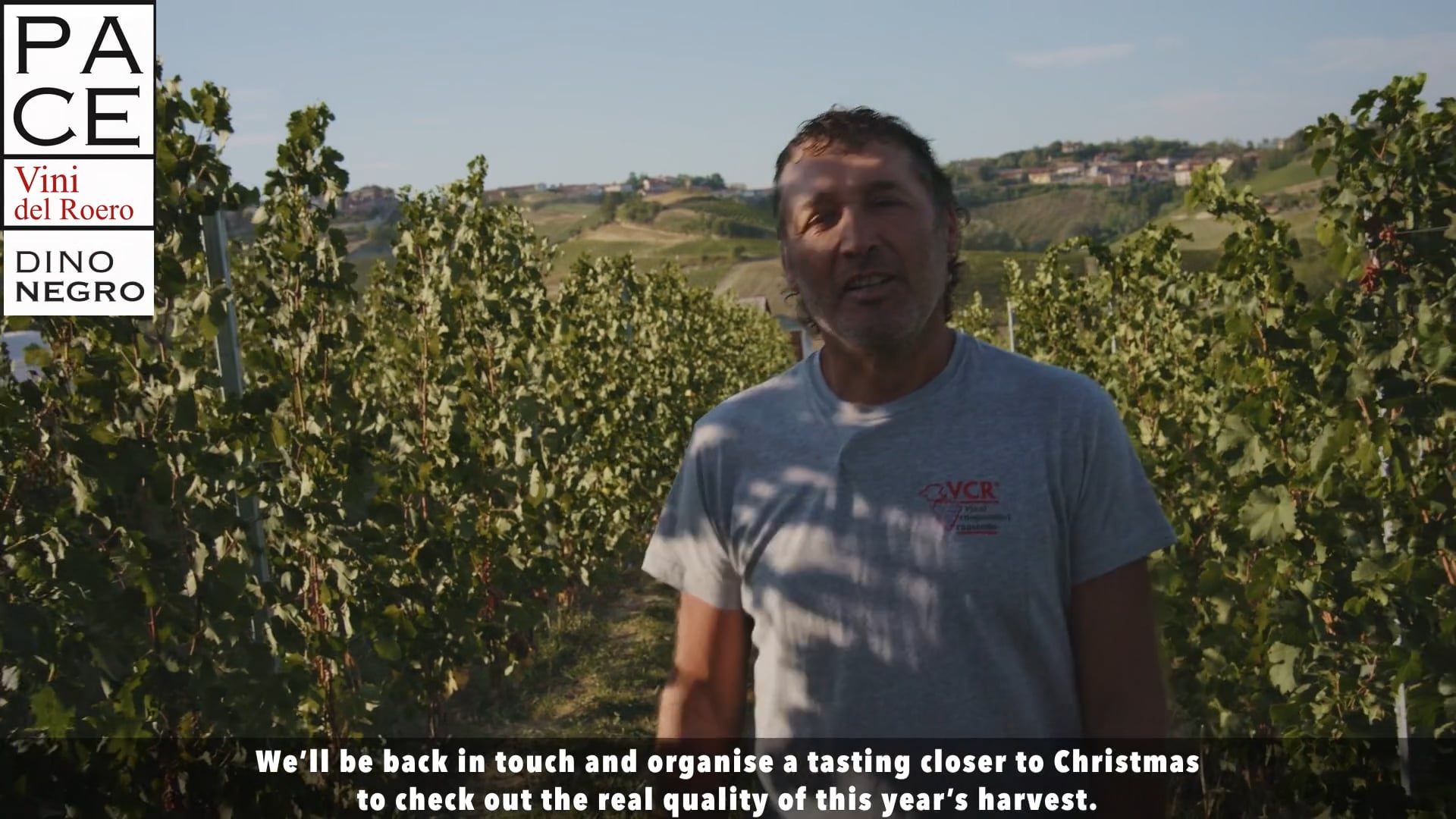 CICLO PRODUTTIVO | Dino e la  Vendemmia Roero Arneis 2022  |  Productive cycle