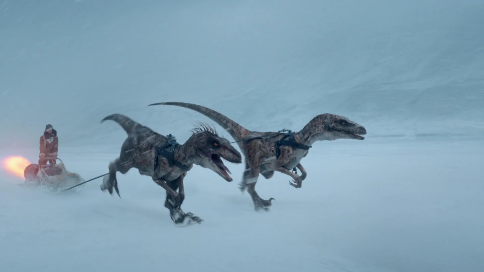 DR PEPPER_DOG SLED.mp4