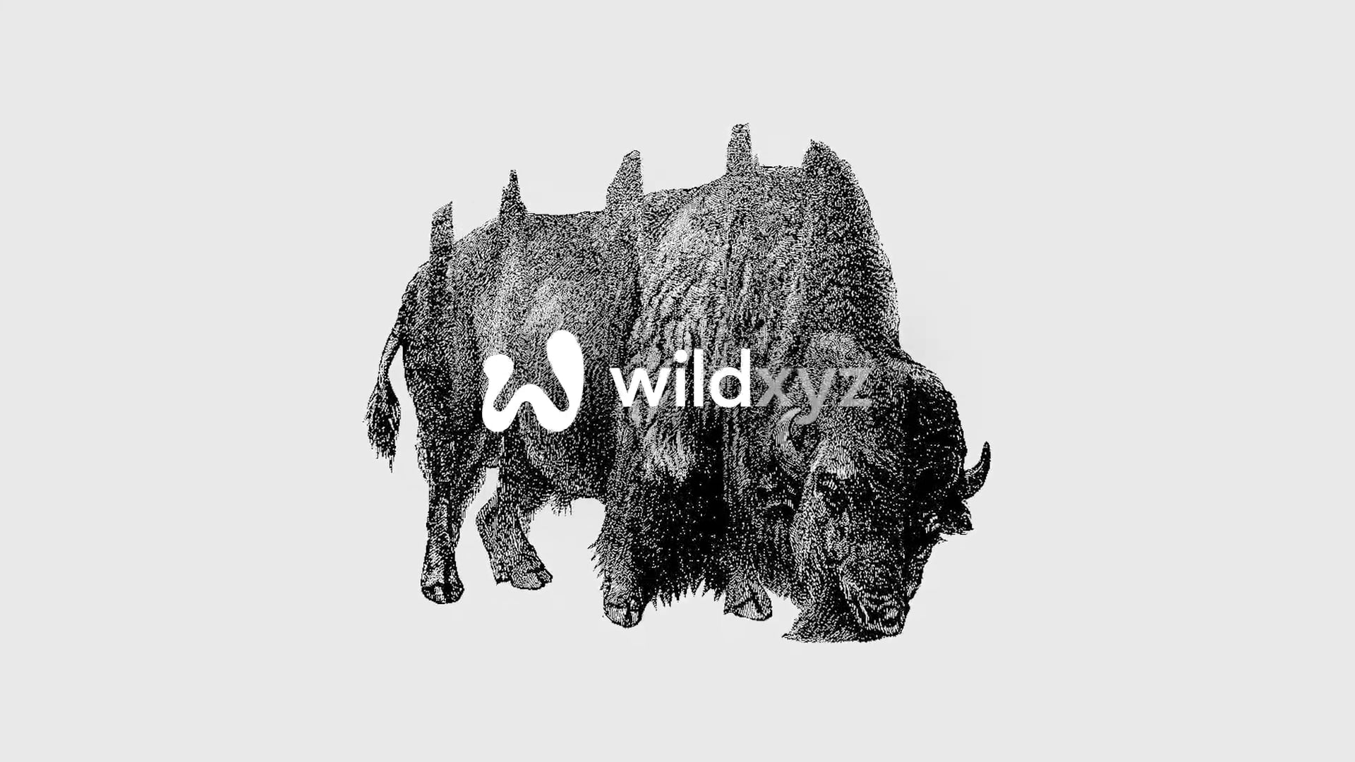 Wild.xyz – Harm van den Dorpel