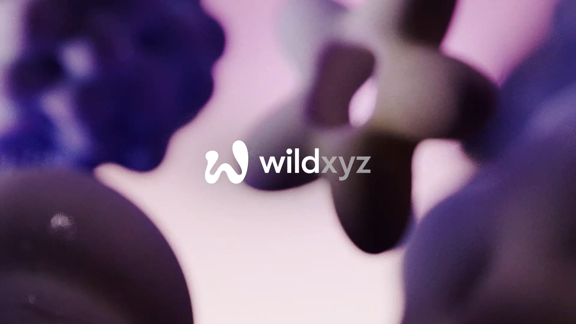 Wild.xyz – Liam Pitchford