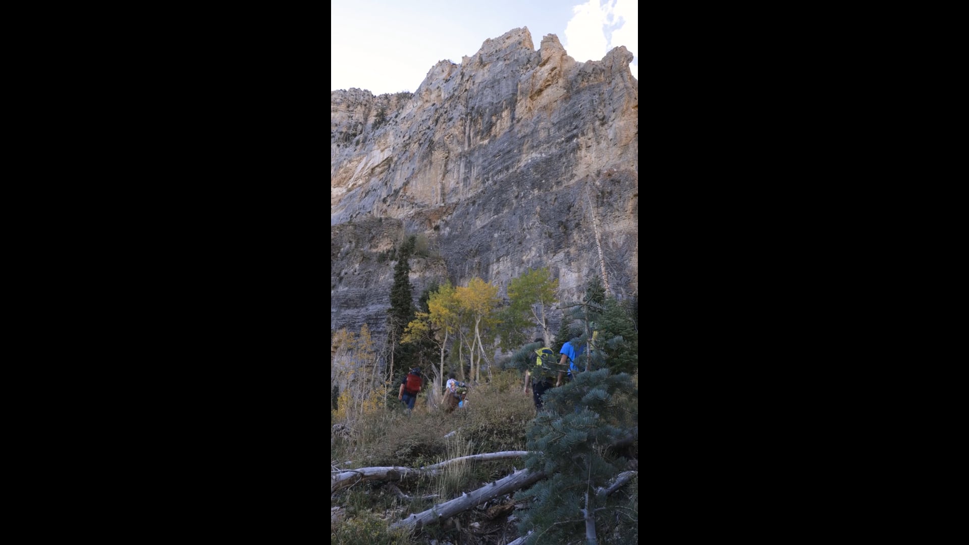 Mt Charleston – Guayaki