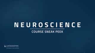 Video preview for Neuroscience Course Sample