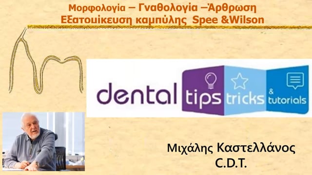 Αφετηρία μιας λειτουργικής κατασκευής με φυσική εμφάνιση είναι η εξατομίκευση της καμπύλης Spee & Wilson.