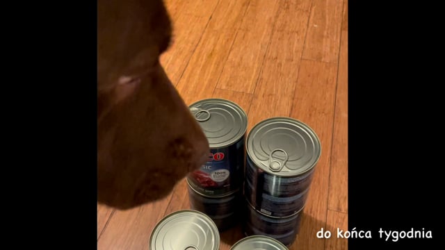 Ponton … (eat) these tins by the end of the week.