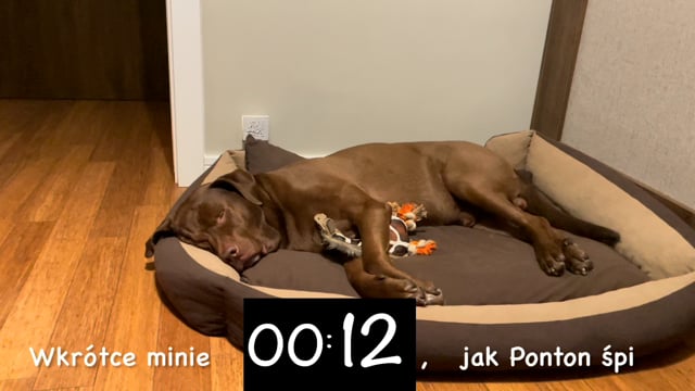 Soon Ponton … (sleep) for 30 seconds.