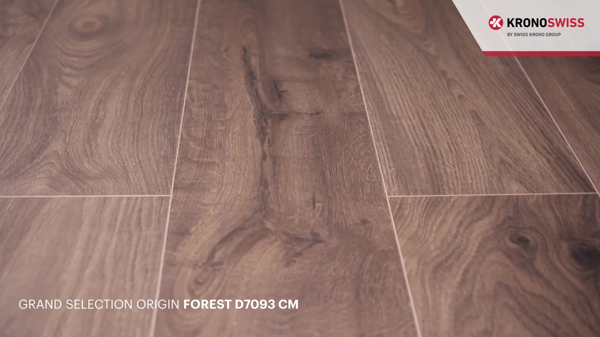 GRAND SELECTION ORIGIN FOREST D7093 CM - large | Videos & Movies