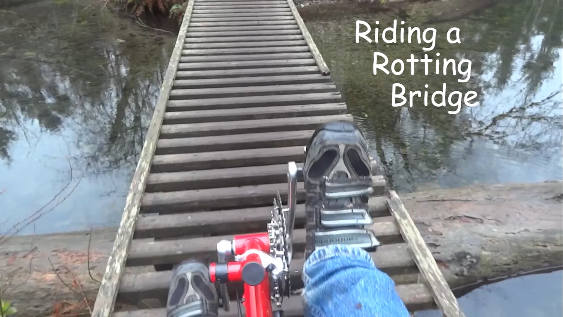 Riding a Rotting Bridge, a Revamp, and a Replacement