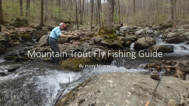 Mountain Trout Fly Fishing Guide - The View From Harrys Window - A