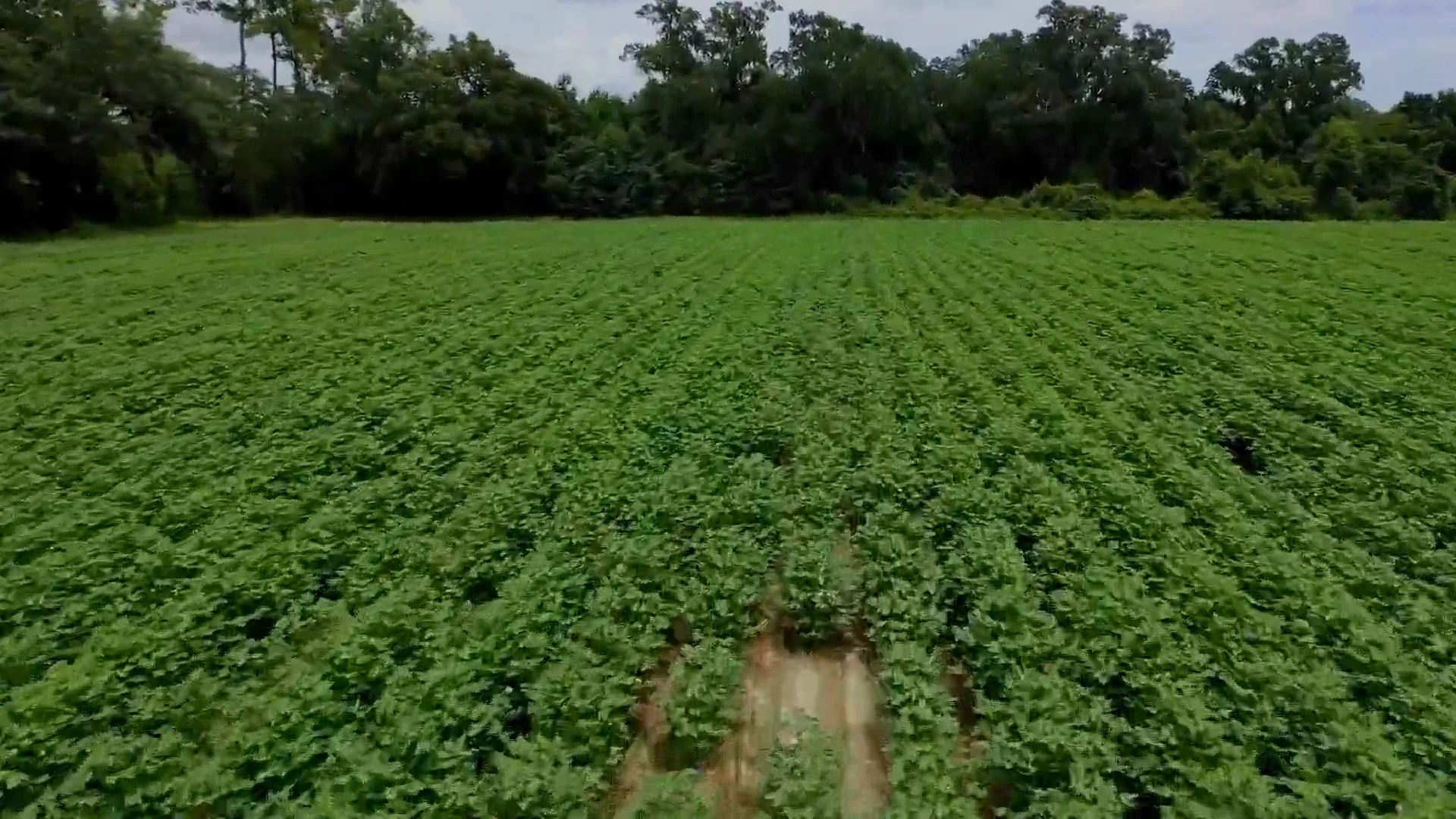 Fender Farm on Vimeo