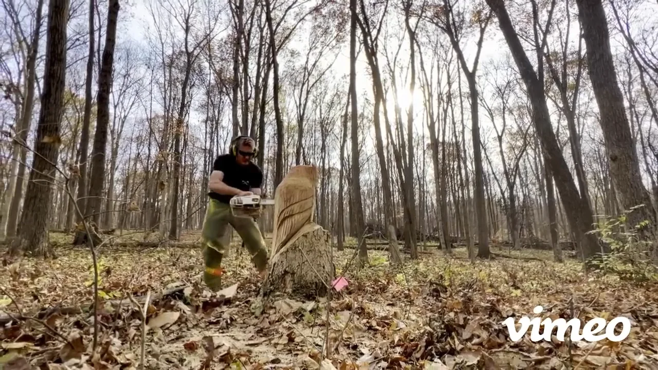 Fleming Woods Chainsaw Carving Day 1 on Vimeo