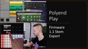 Polyend Play 1.1 | WAV stem export