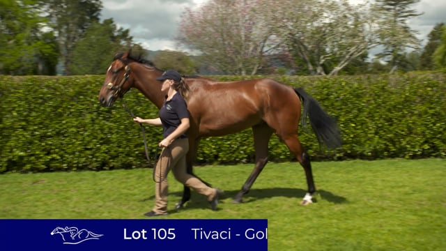 Lot 105