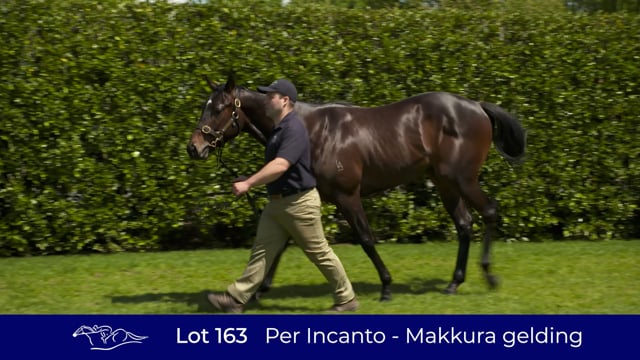 Lot 163