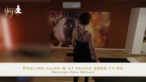 Feeling alive and at peace 2022-11-02