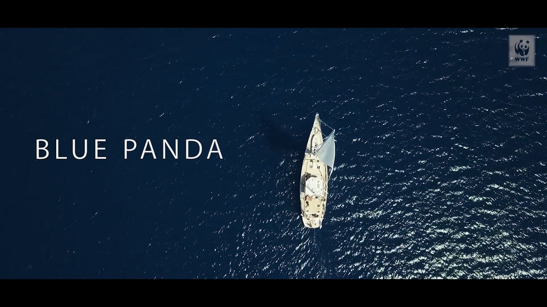 WWF Blue Panda: The 1st journey in the Ionian Sea