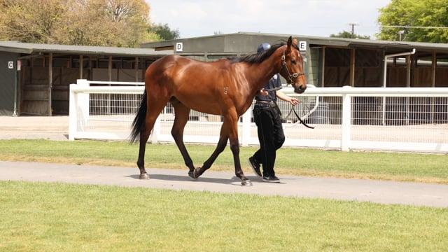 Lot 273