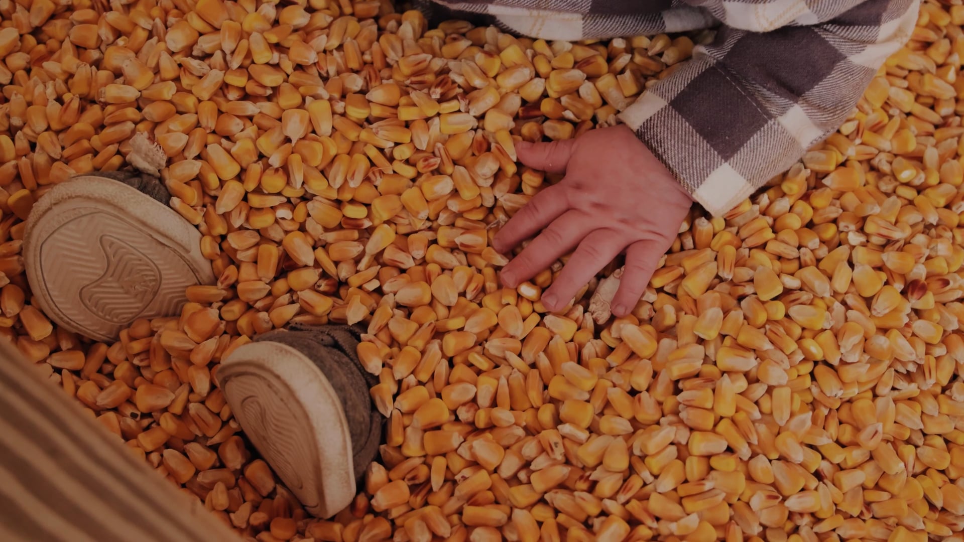 Kelli Smail Family Session