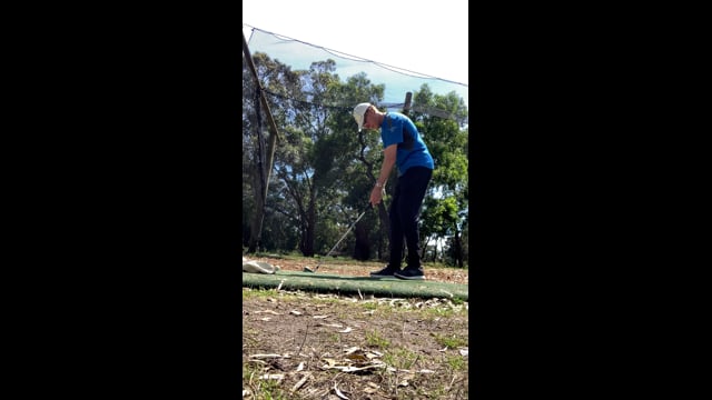 Play swing video
