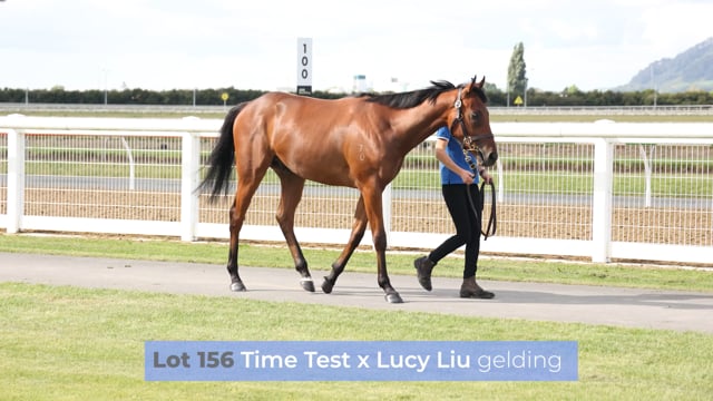 Lot 156