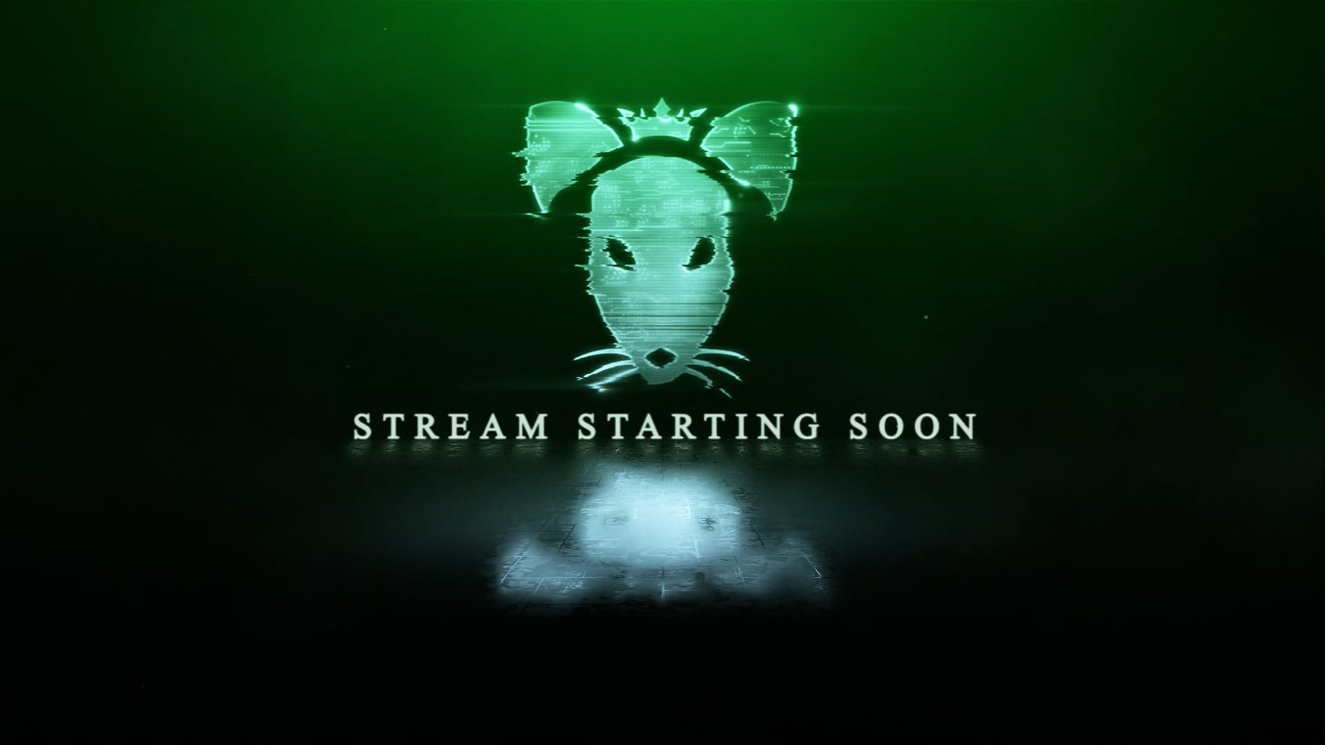 RatKing_StartingSoon.mp4