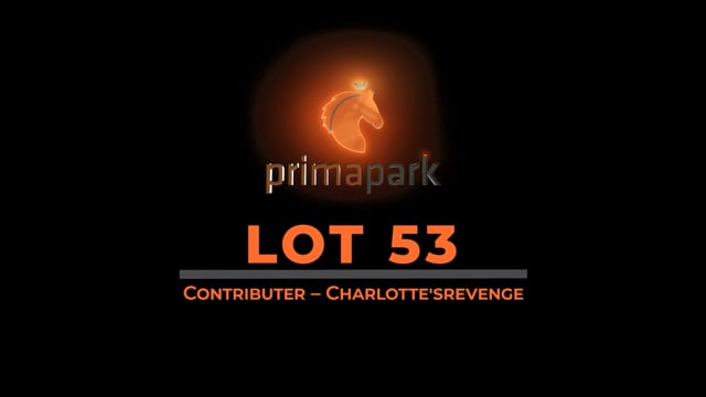 Lot 53