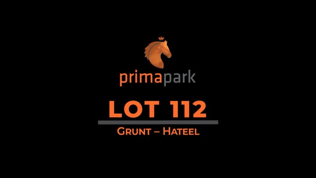 Lot 112