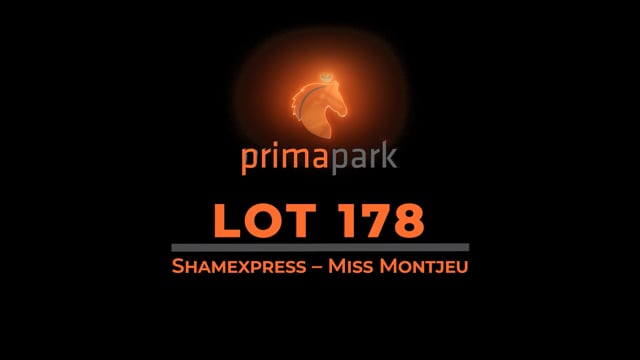 Lot 178