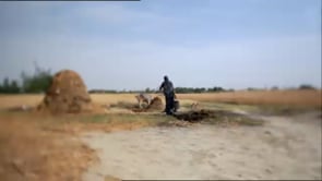 Vignette de la vidéo