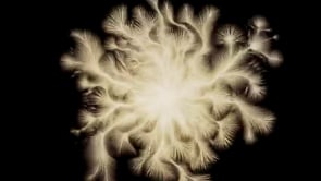 Vignette de la vidéo