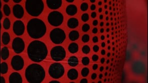 Vignette de la vidéo