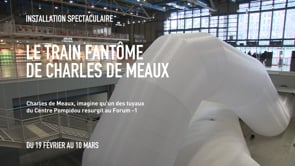 Vignette de la vidéo