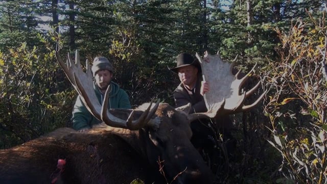 Moose Hunt with Matt in Alaska