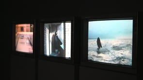 Vignette de la vidéo