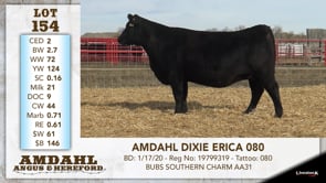 Lot #154 - AMDAHL DIXIE ERICA 080