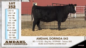 Lot #152 - AMDAHL DORINDA 043