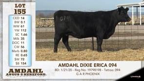 Lot #155 - AMDAHL DIXIE ERICA 094