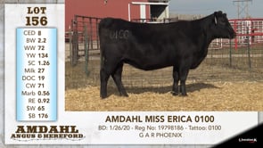Lot #156 - AMDAHL MISS ERICA 0100