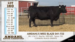 Lot #160 - AMDAHL'S MISS BLAZE 041-733