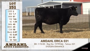 Lot #151 - AMDAHL ERICA 031