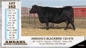 Lot #162 - AMDAHL'S BLACKBIRD 133-410