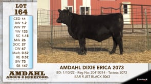 Lot #164 - AMDAHL DIXIE ERICA 2073
