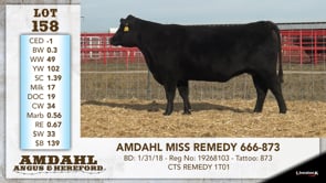 Lot #158 - AMDAHL MISS REMEDY 666-873