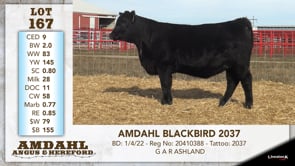 Lot #167 - AMDAHL BLACKBIRD 2037