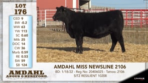 Lot #176 - AMDAHL MISS NEWSLINE 2106